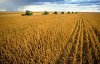 Особенности и функции агромаркетинга